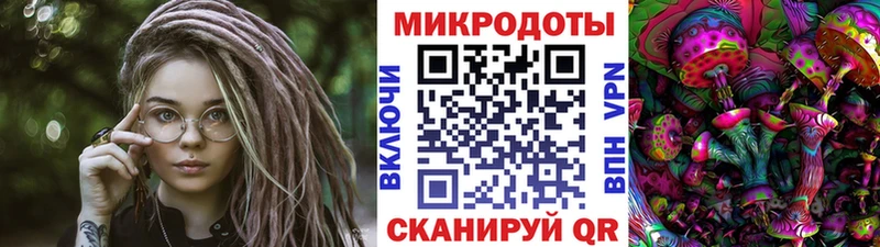 Псилоцибиновые грибы мухоморы  купить наркотик  OMG маркетплейс  Тамбов 