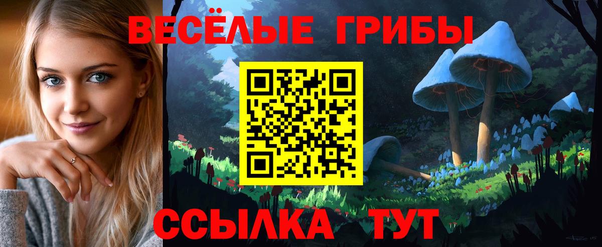 Псилоцибиновые грибы Cubensis  даркнет сайт  Псилоцибиновые грибы мухоморы  Тамбов  Вход с VPN 