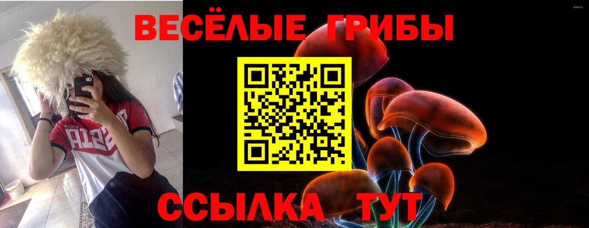 Галлюциногенные грибы Cubensis Тамбов
