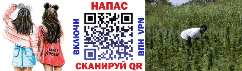 Каннабис планчик  Тамбов 